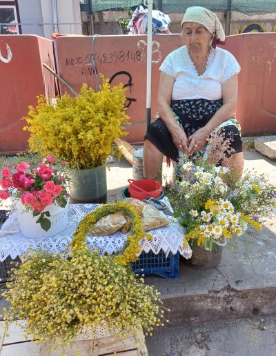Elderly woman selling medicinal and ritual flowers, including Galium verum L., at a local market during the Sânziene celebration in Cluj-Napoca (23 June 2025)